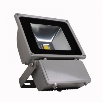 REFLECTOR LED 100W CW-WW